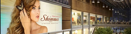Videowall